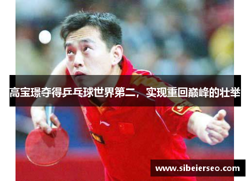高宝璟夺得乒乓球世界第二，实现重回巅峰的壮举